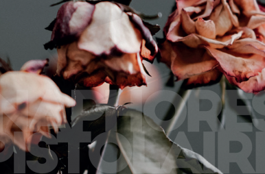 Anaphores épistolaires