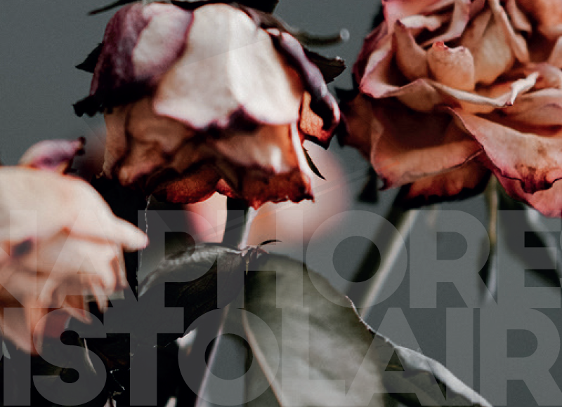 Anaphores épistolaires