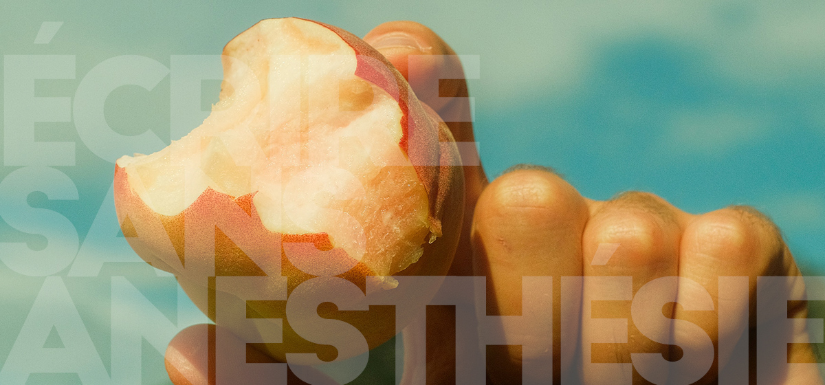 Écrire sans anesthésie