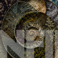 L'INFINI