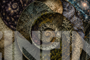 L'INFINI