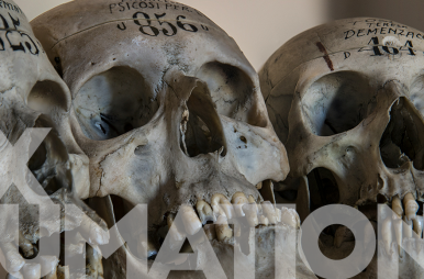0001 — exHumations