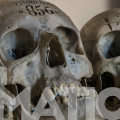 0001 — exHumations