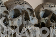 0001 — exHumations