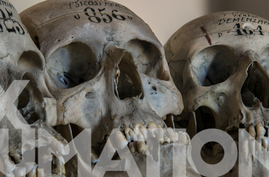 0001 — exHumations